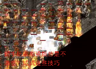 新手玩家刷资质总是不满意?试试这些技巧 新手玩家刷资质总是不满意?试试这些技巧