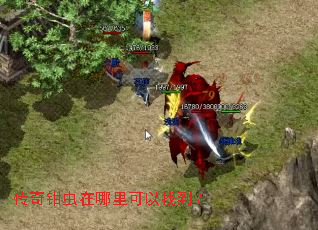 传奇钳虫在哪里可以找到? 传奇钳虫在哪里可以找到?