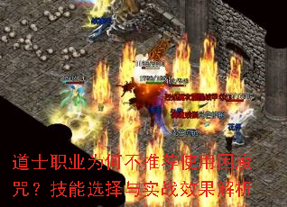 道士职业为何不推荐使用困魔咒?技能选择与实战效果解析 道士职业为何不推荐使用困魔咒?技能选择与实战效果解析