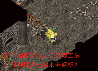 新手如何高效攻克幻境五层?怪物弱点与战术全解析? 新手如何高效攻克幻境五层?怪物弱点与战术全解析?