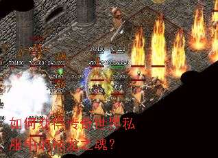 如何获得传奇世界私服中的神龙之魂? 如何获得传奇世界私服中的神龙之魂?