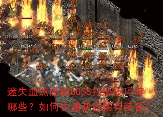 ʧѪɷBOSS򷨼Щοٻȡϡװ