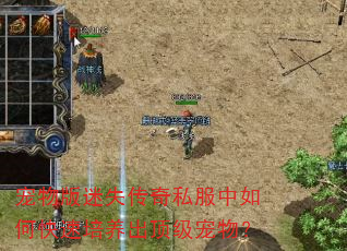 宠物版迷失传奇私服中如何快速培养出顶级宠物? 宠物版迷失传奇私服中如何快速培养出顶级宠物?