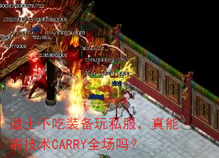 道士不吃装备玩私服,真能靠技术CARRY全场吗? 道士不吃装备玩私服,真能靠技术CARRY全场吗?