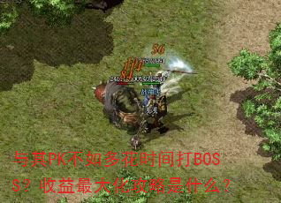 PK໨ʱBOSS󻯹ʲô