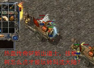 热血传奇SF新出道士,技能树怎么点才能玩转玛法大陆? 热血传奇SF新出道士,技能树怎么点才能玩转玛法大陆?