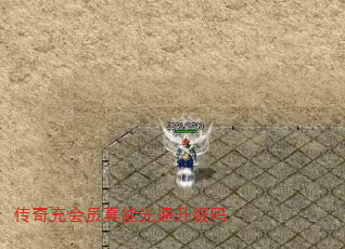 传奇充会员真能光速升级吗 传奇充会员真能光速升级吗