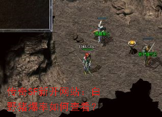 传奇SF新开网站:白野猪爆率如何查看? 传奇SF新开网站:白野猪爆率如何查看?