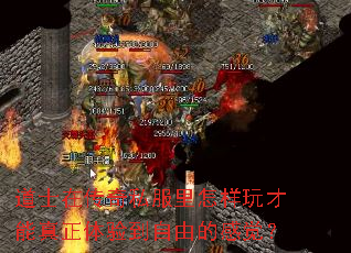 道士在传奇私服里怎样玩才能真正体验到自由的感觉? 道士在传奇私服里怎样玩才能真正体验到自由的感觉?