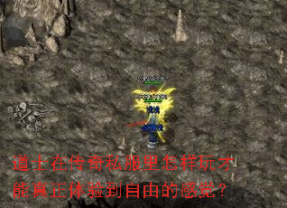 道士在传奇私服里怎样玩才能真正体验到自由的感觉? 道士在传奇私服里怎样玩才能真正体验到自由的感觉?