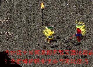 ʿεˢ޵սưԣȫְҵʵս