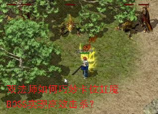 ˫ʦλħBOSSʵָЧɱ