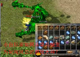 小白玩家如何从菜鸟蜕变为叱咤风云的游戏大神? 小白玩家如何从菜鸟蜕变为叱咤风云的游戏大神?