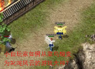 小白玩家如何从菜鸟蜕变为叱咤风云的游戏大神? 小白玩家如何从菜鸟蜕变为叱咤风云的游戏大神?