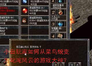 小白玩家如何从菜鸟蜕变为叱咤风云的游戏大神? 小白玩家如何从菜鸟蜕变为叱咤风云的游戏大神?