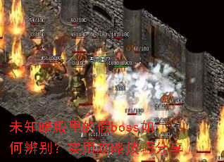 δ֪ļbossαʵùԼɷ