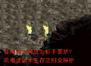 ħΪγΪجΣѶȸ淨ȫ