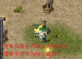 传奇私服中大战士为何不选择井中月作为核心武器? 传奇私服中大战士为何不选择井中月作为核心武器?