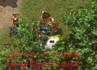 如何在传奇1.95中高效刷取技能书并实现金币快速积累? 如何在传奇1.95中高效刷取技能书并实现金币快速积累?