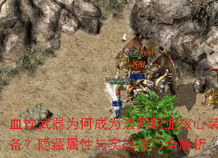 血饮武器为何成为法师职业核心装备?隐藏属性与实战技巧全解析 血饮武器为何成为法师职业核心装备?隐藏属性与实战技巧全解析