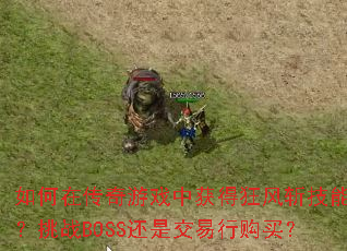 如何在传奇游戏中获得狂风斩技能书?挑战BOSS还是交易行购买? 如何在传奇游戏中获得狂风斩技能书?挑战BOSS还是交易行购买?