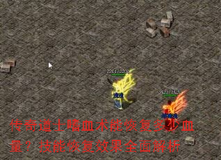 传奇道士嗜血术能恢复多少血量?技能恢复效果全面解析 传奇道士嗜血术能恢复多少血量?技能恢复效果全面解析