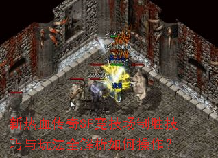 新热血传奇SF竞技场制胜技巧与玩法全解析如何操作? 新热血传奇SF竞技场制胜技巧与玩法全解析如何操作?