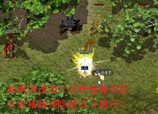 如何通过担任传奇新服务团队领袖解锁隐藏成长路径? 如何通过担任传奇新服务团队领袖解锁隐藏成长路径?