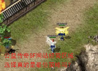 公益传奇SF网站经营区域选择真的是最佳策略吗? 公益传奇SF网站经营区域选择真的是最佳策略吗?