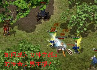 如何成为女神之战5的传奇美男主播? 如何成为女神之战5的传奇美男主播?