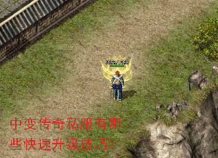 中变传奇私服有哪些快速升级技巧? 中变传奇私服有哪些快速升级技巧?