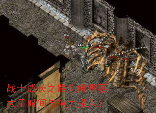 战士成长之路为何需要大量时间与精力投入? 战士成长之路为何需要大量时间与精力投入?