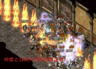 神威之羽如何助你称霸江湖? 神威之羽如何助你称霸江湖?