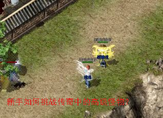 新手如何挑战传奇中的高级怪物? 新手如何挑战传奇中的高级怪物?