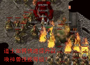 道士如何快速提升召唤神兽技能等级? 道士如何快速提升召唤神兽技能等级?