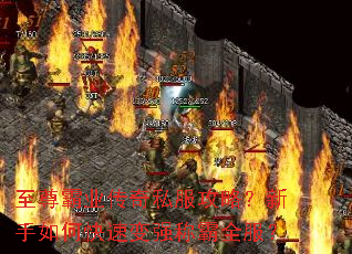 至尊霸业传奇私服攻略?新手如何快速变强称霸全服? 至尊霸业传奇私服攻略?新手如何快速变强称霸全服?