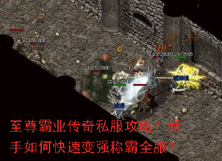至尊霸业传奇私服攻略?新手如何快速变强称霸全服? 至尊霸业传奇私服攻略?新手如何快速变强称霸全服?