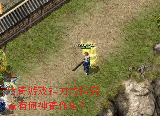 ������Ϸ������ָ�����к��������ã�