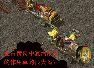 ���Ŵ����и����ָ��������ĺܴ���