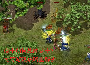 ��ʿ���սʤ��ʿ��������Ϸ����ȫ����