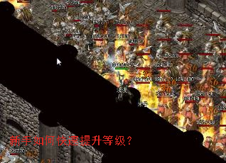 ������ο��������ȼ���