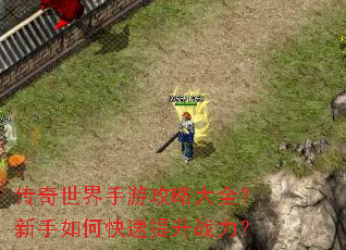 �����������ι��Դ�ȫ��������ο�������ս����