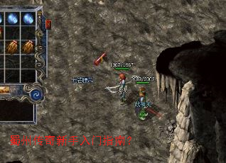 ���ݴ�����������ָ�ϣ�