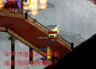 ��ο������������·�ˢ��Ч���뱬�ʣ�