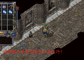 暗影猎手私服有哪些实用技巧? 暗影猎手私服有哪些实用技巧?