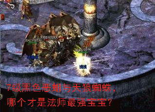 7����ɫ����������֩�룬�ĸ����Ƿ�ʦ��ǿ������