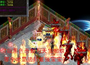 7����ɫ����������֩�룬�ĸ����Ƿ�ʦ��ǿ������