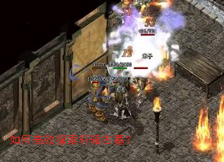 ��θ�Ч̽����ԯ��Ĺ��