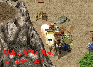 ְҵ�ӽ�����������񶷳�PKʤ�ʣ�