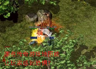 ��Щ������Ϸ��ͼ������Ҹе��־壿